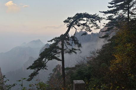 黄善洪(黄善洪：聚焦优势打造特色小城镇)