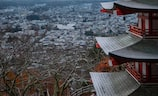 温州江心寺（温州江心寺：千年庙宇的禅意之旅）